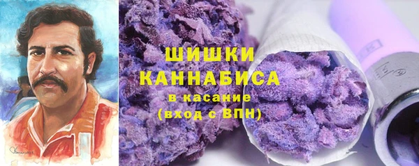 СК Михайлов